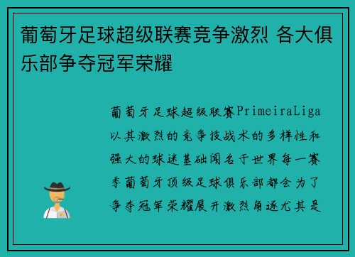 葡萄牙足球超级联赛竞争激烈 各大俱乐部争夺冠军荣耀